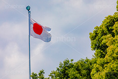 日本国旗,日の丸,国旗,旗,国,国家,日本,政治,シンボル,祝日,祝い,揺れる,なびく,symbol,japan,フルサイズ撮影