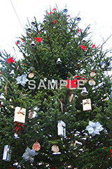 ツリー,クリスマス,くりすます,Christmas,Xmas,CHRISTMAS,デコレーション,飾り,もみのき,モミの木,樅木,冬,オーナメント,イベント,行事
