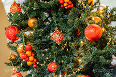 クリスマスオーナメント,クリスマスツリー,ツリー,オーナメント,ボール,イルミネーション,イルミ,電飾,電球,冬,キラキラ,綺麗,きれい,キレイ,煌,輝,デート,クリスマス,飾り,デコレーション,イベント,ぶどう,ブドウ,葡萄,CHRISTMAS,Xmas,ornament,illumination,フルサイズ撮影