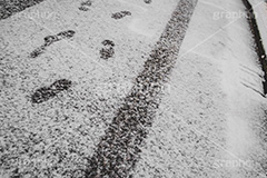 雪の足跡,雪のタイヤ跡,道路に積もる雪,雪,ゆき,積,足跡,跡,冬,道路,アスファルト,滑る,積雪,snow,winter,フルサイズ撮影
