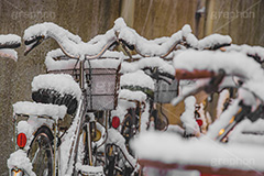 自転車に積もった雪,雪の朝,雪,積もる,冬,サドル,ハンドル,自転車,寒い,凍る,困る,カゴ,かご,籠,駐輪場,降る,積雪,snow,winter,フルサイズ撮影