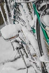 自転車に積もった雪,雪の朝,雪,積もる,冬,ペダル,自転車,寒い,凍る,困る,タイヤ,降る,積雪,snow,winter,フルサイズ撮影
