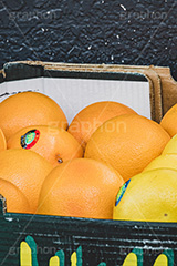 オレンジとグレープフルーツ,オレンジ,グレープフルーツ,フルーツ,八百屋,店頭,積み,収穫,農家,柑橘,ビタミン,甘酸っぱい,orange,grapefruit,fruit,フルサイズ撮影