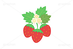苺の花,花,フラワー,苺,いちご,イチゴ,ストロベリー,フルーツ,果実,果物,デザート,挿絵,挿し絵,fruit,strawberry,flower