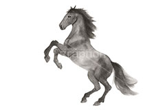 水墨画テイスト馬イラスト,馬イラスト,午,馬,うま,ウマ,ジャンプ,躍動感,水墨画,午年,干支,正月,お正月,年賀状,2026午年,午年年賀状,新年,ニューイヤー,アニバーサリー,イラスト,illustration,japan,horse