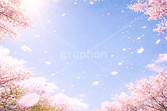 桜と青空,青空,空,花吹雪,爽やか,さわやか,桜,さくら,サクラ,花見,ブロッサム,春,花,花びら,花弁,背景,blossom,spring,flower,AI生成素材