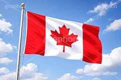 カナダの国旗,カナダ,国旗,旗,国際,国,象徴,なびく,シンボル,マーク,青空,宣言,政治,首相,首脳,大統領,経済,選挙,president,flag,country,canada,AI生成素材