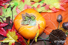 秋の味覚,柿,かき,フルーツ,渋い,甘い,果物,季語,秋,fruit,japan,autumn