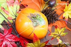 秋の味覚,柿,かき,フルーツ,渋い,甘い,果物,季語,秋,fruit,japan,autumn