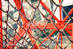 東京タワーの大階段,トイカメラ撮影,トイカメラ,ヴィンテージ,ビンテージ,レトロ,お洒落,おしゃれ,オシャレ,味わい,トンネル効果