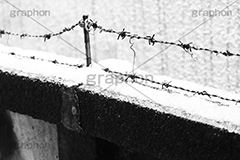 雪積もる塀,モノクロ,白黒,しろくろ,モノクローム,単色画,単彩画,単色